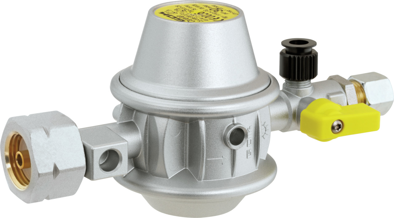 Low pressure regulator type EN61-DS